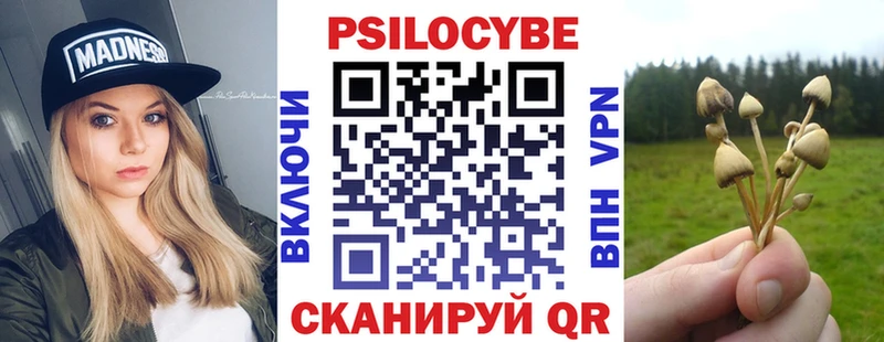 Псилоцибиновые грибы Psilocybe  наркошоп  Красный Кут 